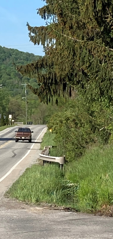 Approximate area where figure crossed road
